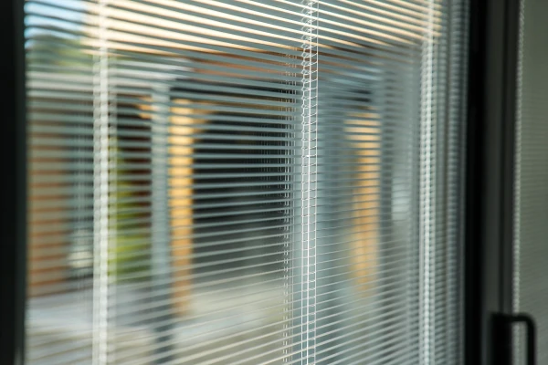 Integrated Blinds